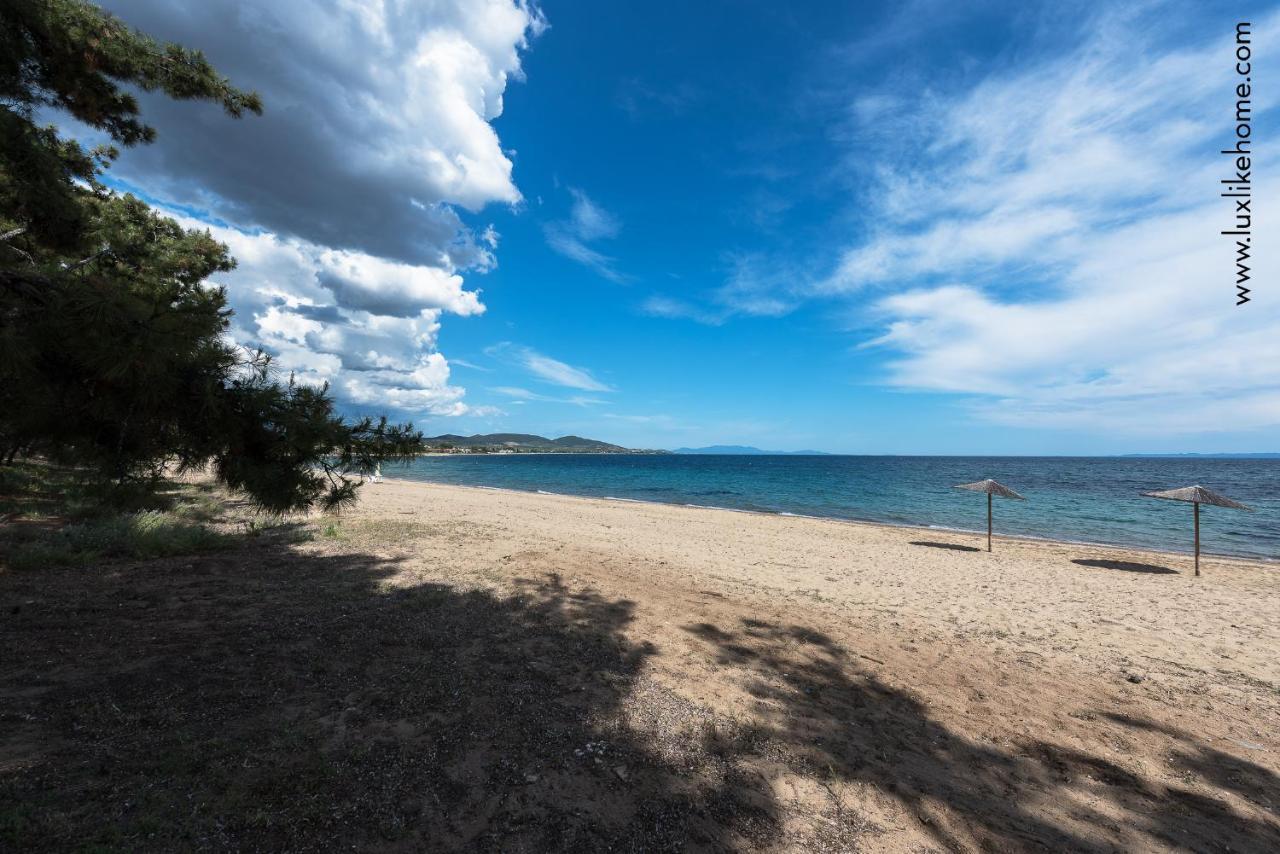 #Luxlikehome - Mediterranee Beachfront Summer House Kalyves Polygyrou Luaran gambar